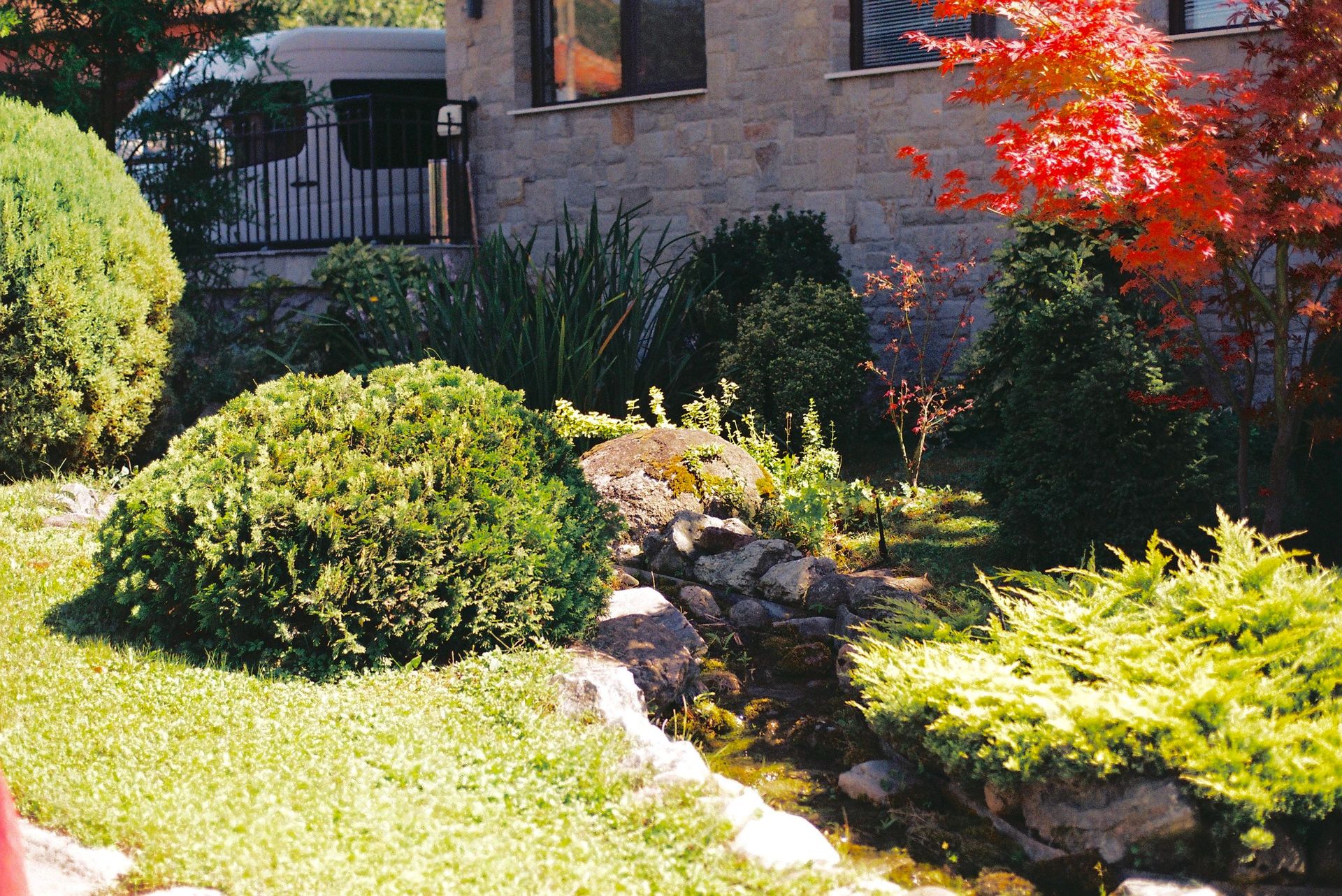 Serene garden featuring vibrant red leaves and lush greenery framing a stone pathway.